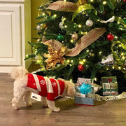 Dog Snow Sweaters Snowman Sweaters Xmas Dog Holiday Sweaters New Year Christmas Sweater Pet Clothes for Small Dog and Cat (Snow, L)