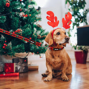 Christmas Dog Collar and Leash Set, Buffalo Plaid Dog Collar with Matching Leash for Large Dogs, Great for Christmas, New Year, Festivals and Daily Use