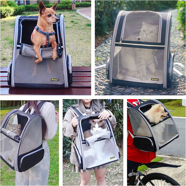 Pet Backpack Carrier for Small Cats Dogs | Ventilated Design, Safety Straps, Buckle Support, Collapsible | Designed for Travel, Hiking, Walking & Outdoor Use