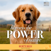 Natural Hypoallergenic Shampoo with Shea Butter and Honey for All Dogs and Puppies with Dry or Sensitive Skin