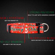 Christmas Dog Collar (Medium, Merry Christmas)